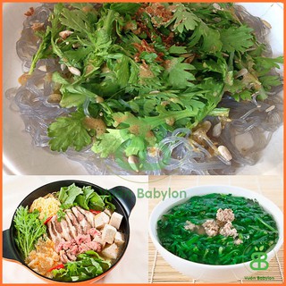 Hạt Giống Rau Tần Ô Rạng Đông, Dễ Trồng, Năng Suất Cao, trồng quanh năm Vuonbabylon - Gói 20G