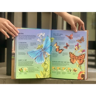 SÁCH - Bách khoa tri thức dành cho trẻ em (Usbone)