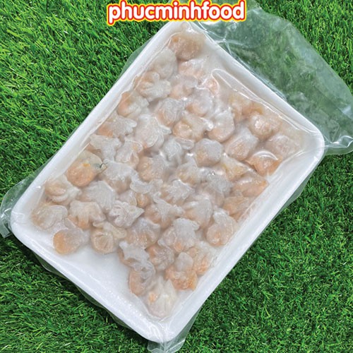 Dimsum Há cảo nhân thịt, há cảo hấp và chiên khay 48 viên trọng lượng 500gram