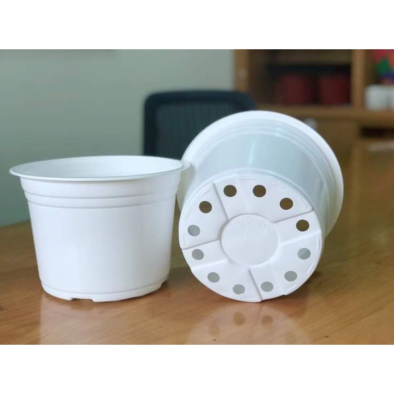 Chậu nhựa mỏng mềm mini trồng sen đá trồng hoa ươm cây trồng cây giống 10 cái greenkios