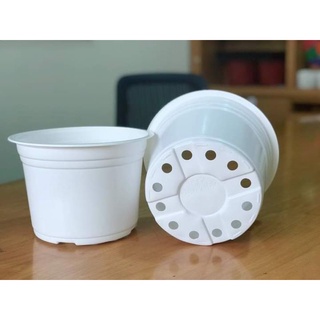 Set 5 Chậu hoa nhựa mini trồng sen đá