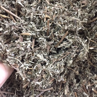 500g Ngải Cứu khô