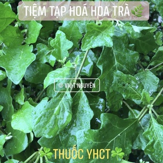 Cà gai leo 500g