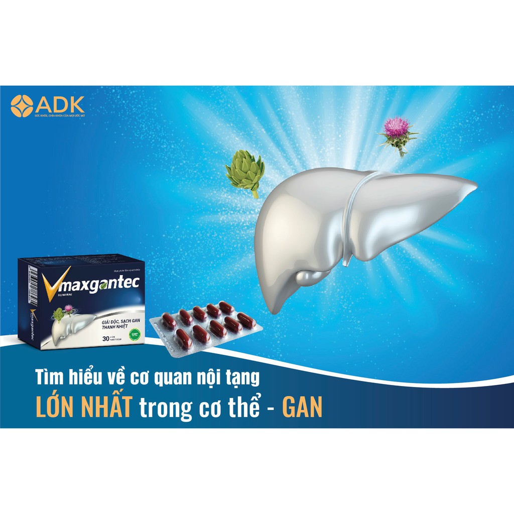 Vmaxgantec – Hỗ trợ giải độc gan, giảm mẩn ngứa mề đay (30 viên)