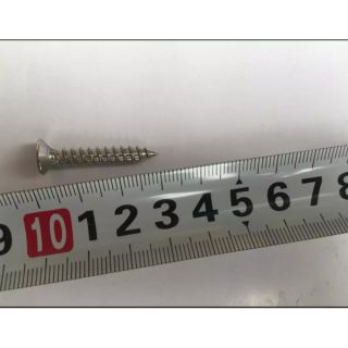 Bộ 100 Ốc vít bắt tường inox 201 kích thước ( 4x 30mm).