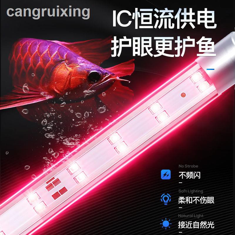 Đèn Led Chiếu Sáng Dưới Nước Cho Bể Cá