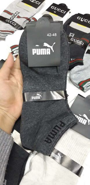 Combo tất cổ ngắn nam siêu hot ( 5 đôi, 10 đôi)