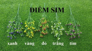 CĐiểm hoa sim