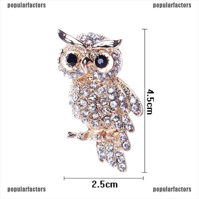 Ghim cài áo hình chim cú đính đá dễ thương