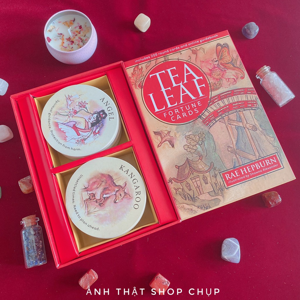 Bộ Bài Tea Leaf Fortune Bài Trà Tea Leaf Cards Deck S1