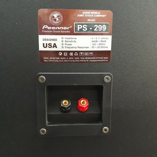 Loa Karaoke Peenner PS-299