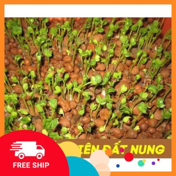 [FREESHIP] Đất nung Sfarm trồng rau mầm, sen đá, trộn đất trồng cây, lọc nước..