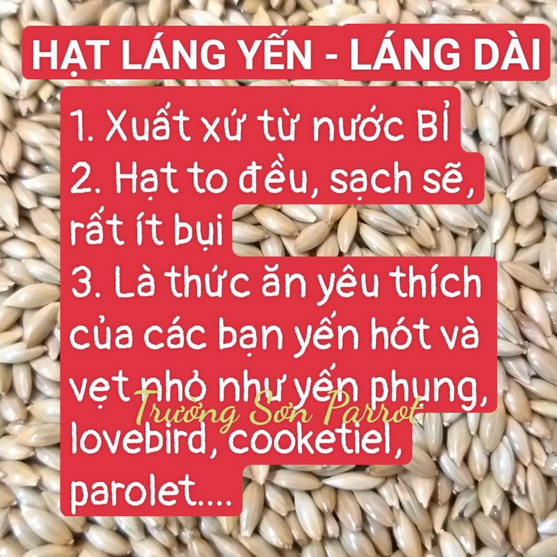 HẠT LÁNG DÀI, LÁNG YẾN CHO VẸT, HAMSTER, SÓC, GÀ, CHIM CU... gói 500g