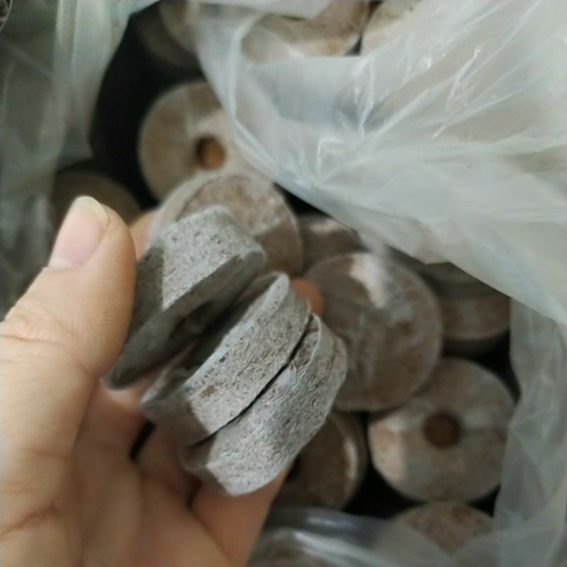 VIÊN NÉN GIEO ƯƠM HẠT GIỐNG SƠ DỪA 100 viên