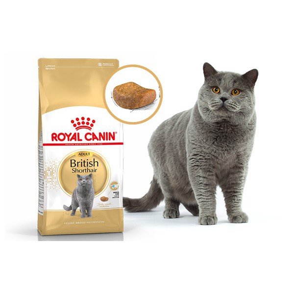 [Mã PETWOW giảm 8% đơn 250K] Thức ăn cho mèo trưởng thành Royal Canin British Shorthair Adult 2kg