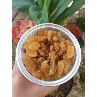 Nho khô ( đen, vàng, mix)