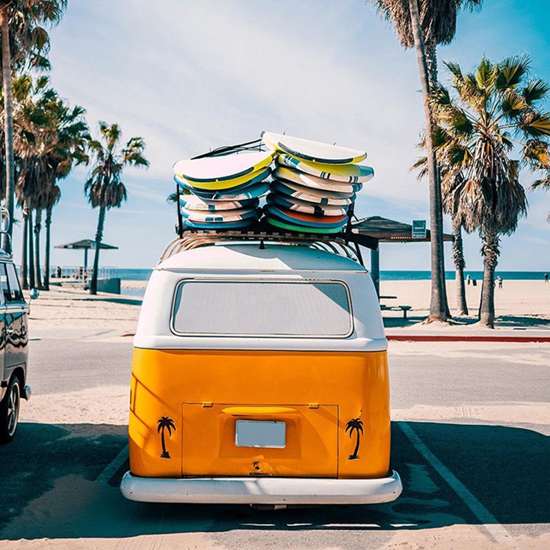 Bộ 2 Dây Đai Khóa Cà Vạt Gắn Mái Chèo Xe Đạp / Thuyền Kayak