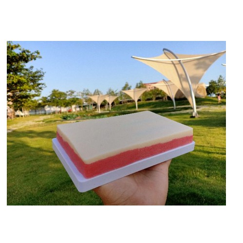 MÔ HÌNH Da Sillicon thực hành PHẪU THUẬT, Tiêm TRUYỀN DỊCH TẶNG kim và ống tiêm