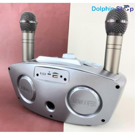 Loa Karaoke SD 306 Plus / SD 306 Bản 2021 Tặng Kèm 2 Micro Không Dây - Hàng Loại 1