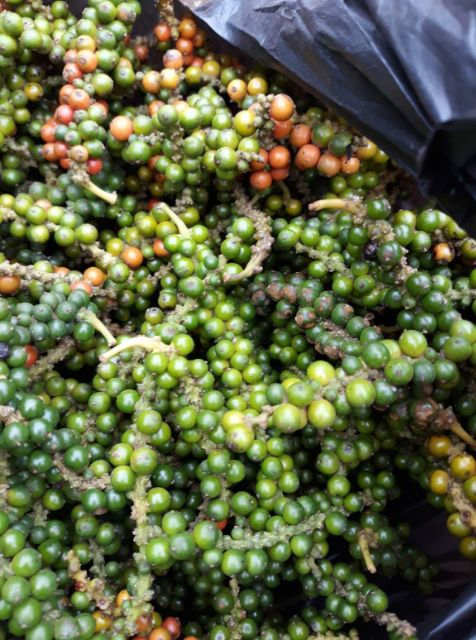 100g Tiêu đen sạch nhà trồng. Đảm bảo hạt chắc mẩy chất lượng uy tín