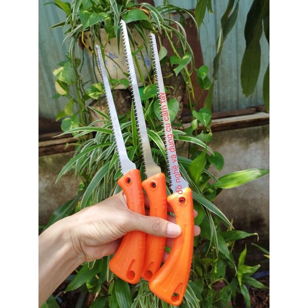 cưa gỗ, trần thạch cao, bonsai kapusi chính hãng