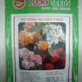 Hạt giống hoa hồng tỉ muội mix
