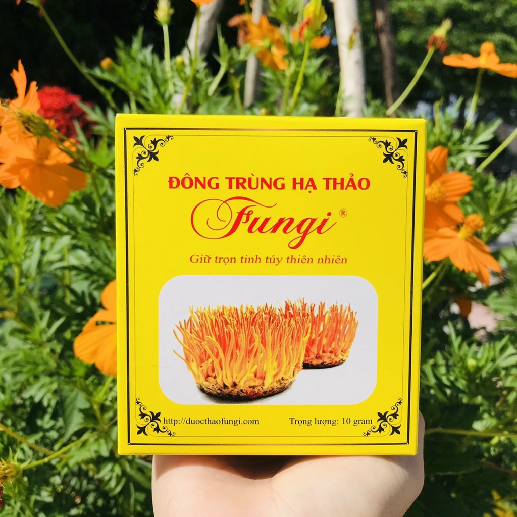 Đông Trùng Hạ Thảo Fungi Sấy Thăng Hoa (10g) [Thế Giới Nấm - Cantho Fresh Food]
