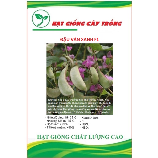 Hạt giống đậu ván xanh F1 CT157 - Gói 5 hạt
