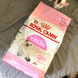 Thức ăn hạt khô cho mèo Royal Canin Kitten gói chiết 1kg