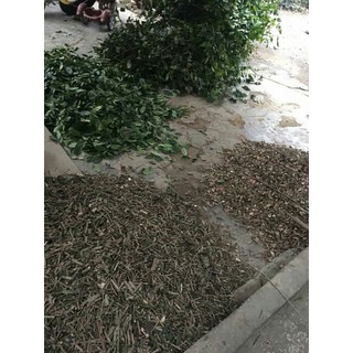 1KG XẠ ĐEN HÒA BÌNH LOẠI 1