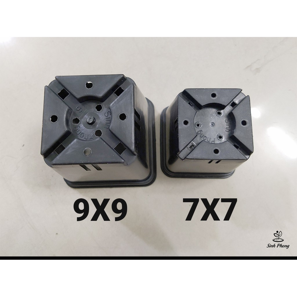 Chậu vuông 9x9 đen