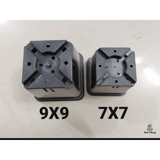 Chậu vuông 9x9 đen (Set 50 cái)