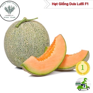 Hạt giống dưa lưới f1