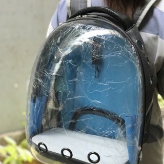 Balo phi hành gia, balo vận chuyển thú cưng
