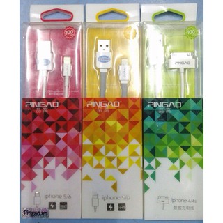 Cable IP6 pingao