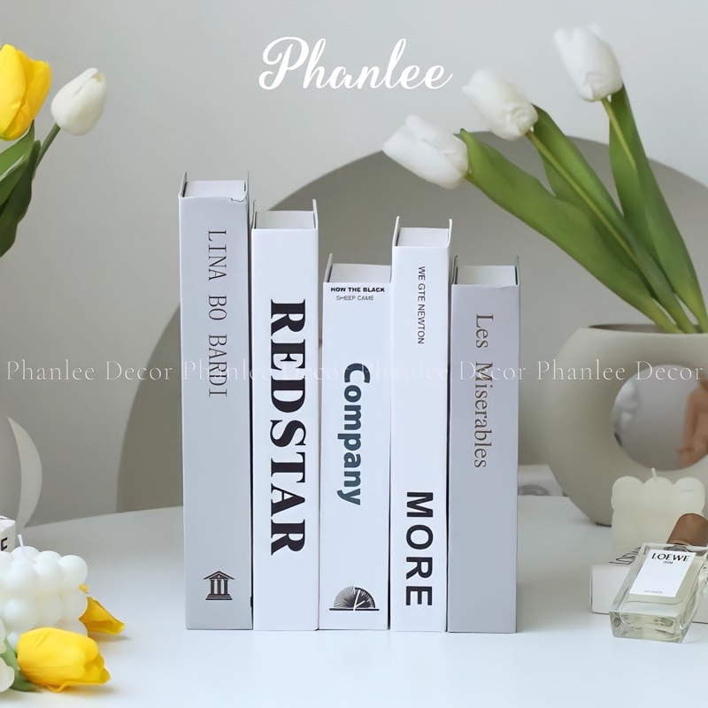 Sách mô hình trang trí decor Phanlee