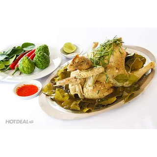 Cây Giống Chanh Chúc