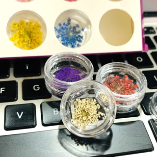 Set Trang Trí Ẩn Gel-Hoa Chùm
