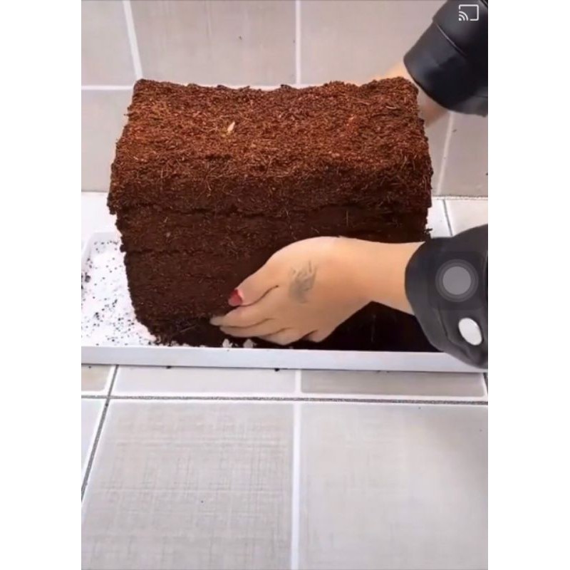 Đất Sạch nén Hữu Cơ nhiều dinh dưỡng..