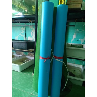 Tấm chặn cá betta bằng nhựa