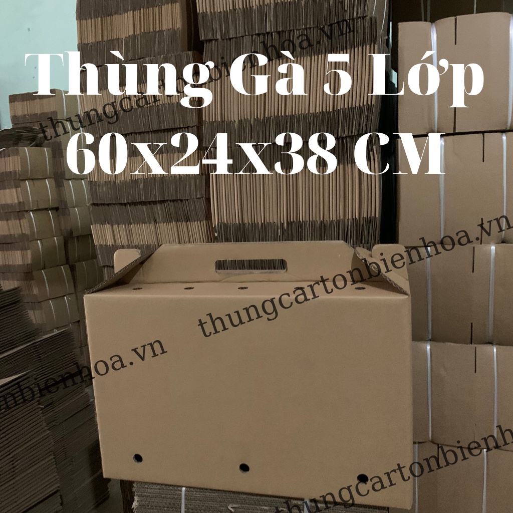 Thùng Carton 5 Lớp Đựng Gà Đá - Gà Tre 60x24x38 CM