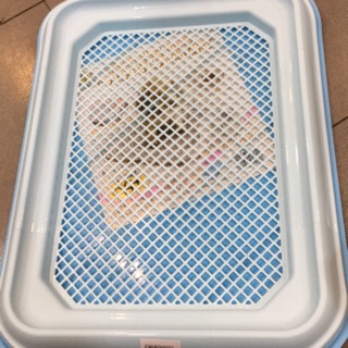 Khay đi vệ sinh cho chó - hachikopetshop