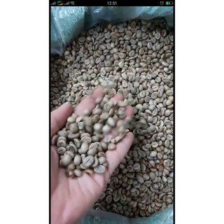 Cà phê sạch (Thành phần hạt Moka + Chồn + Culi)