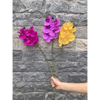 Hoa giả - Lan hồ điệp 5 bông cao su cao cấp