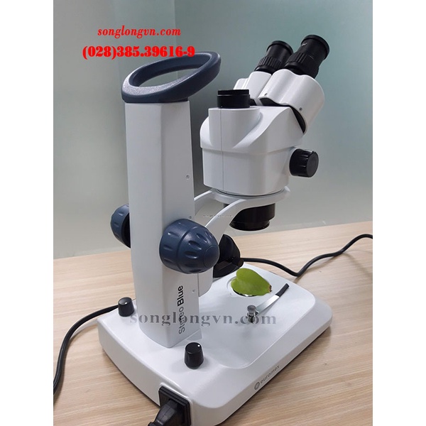 Kính hiển vi soi nổi 3 mắt SB.1903 Euromex Hà Lan