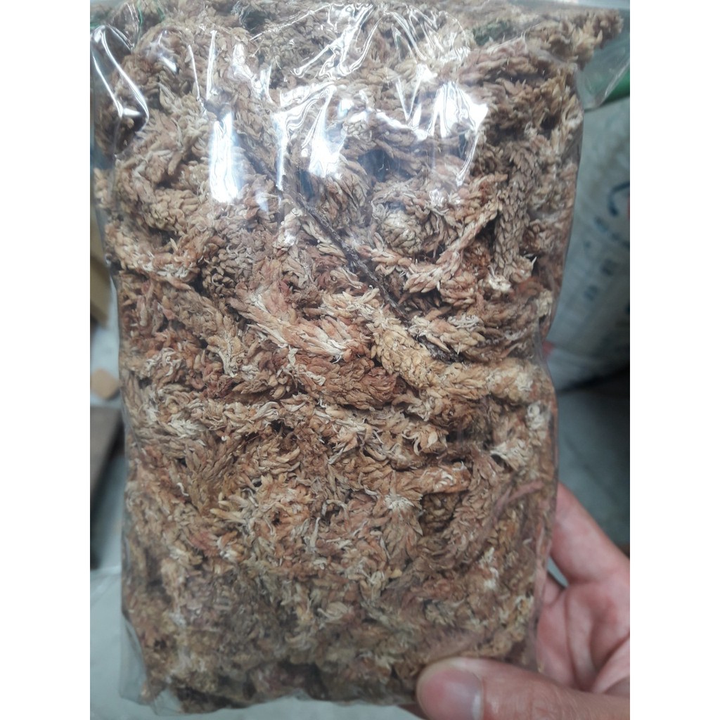 [FREESHIP TỪ 50K] Rêu sâu ChiLe (giữ ẩm tuyệt vời cho phong lan) gói 100g