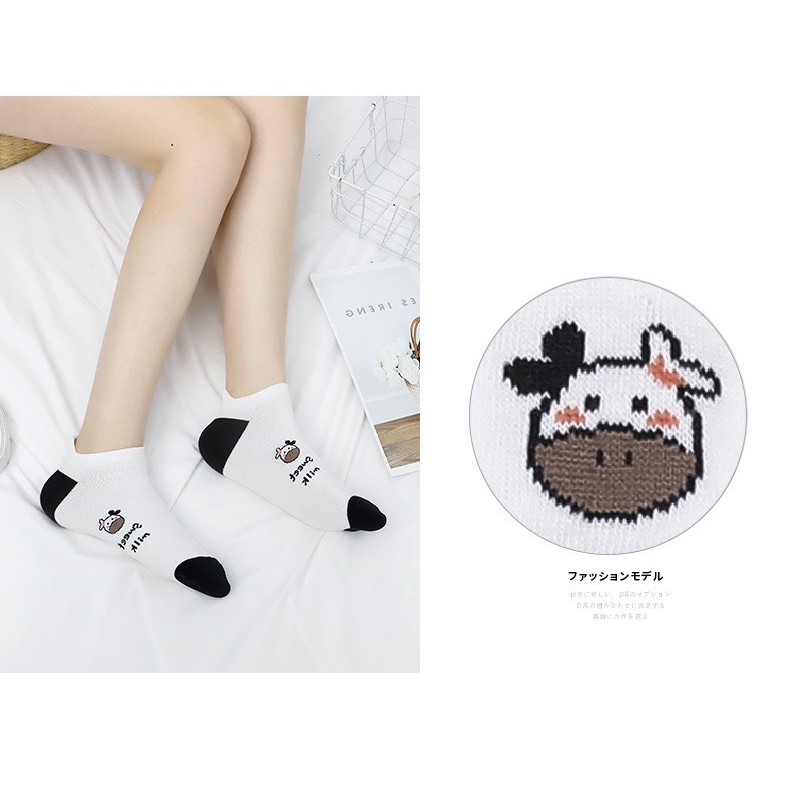 Tất bò sữa Pohanu cổ ngắn nữ phong cách hàn quốc dày giá rẻ cao cấp TN127
