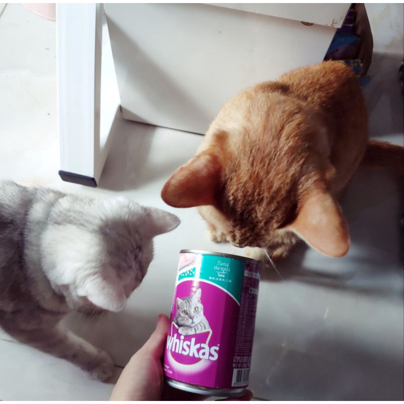 Pate Whiskas cho mèo trưởng thành, thức ăn ướt cho mèo hộp 400g
