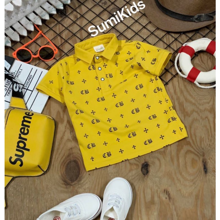 Áo Polo Có  Cổ Bé Trai  Size16_35kg