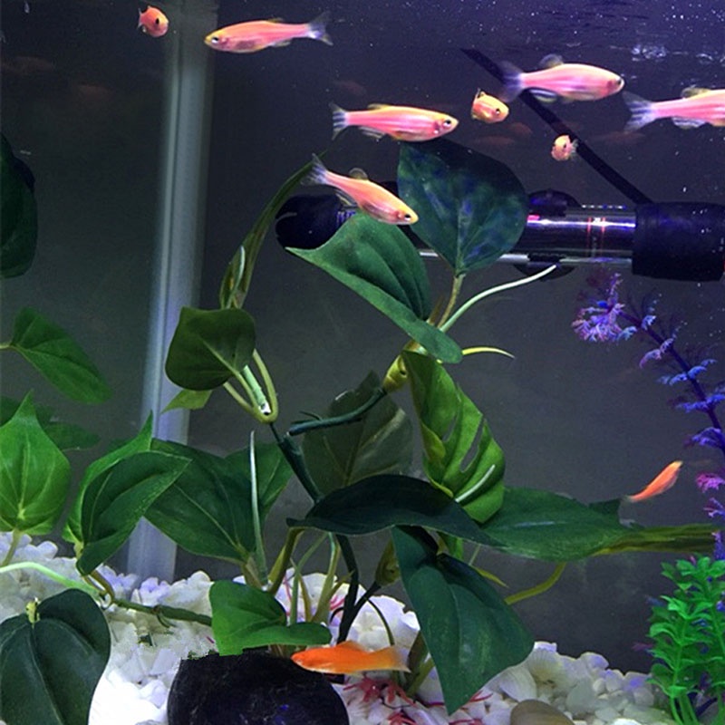 Bể Cá Giả Bằng Nhựa Màu Xanh Lá Cây Sống Động Như Thật